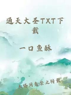 通天大圣TXT下载