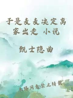 于是麦麦决定离家出走 小说