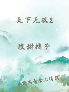 天下无双2