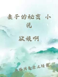 妻子的秘密 小说