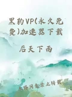 黑豹VP(永久免费)加速器下载