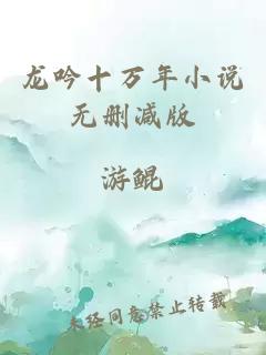 龙吟十万年小说无删减版