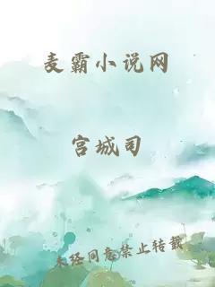 麦霸小说网