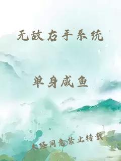 无敌右手系统