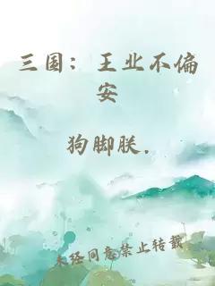 三国：王业不偏安